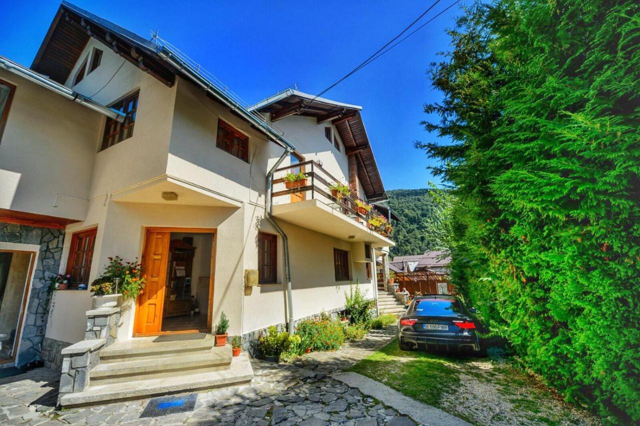Amandra Chalet Sinaia Exteriér fotografie