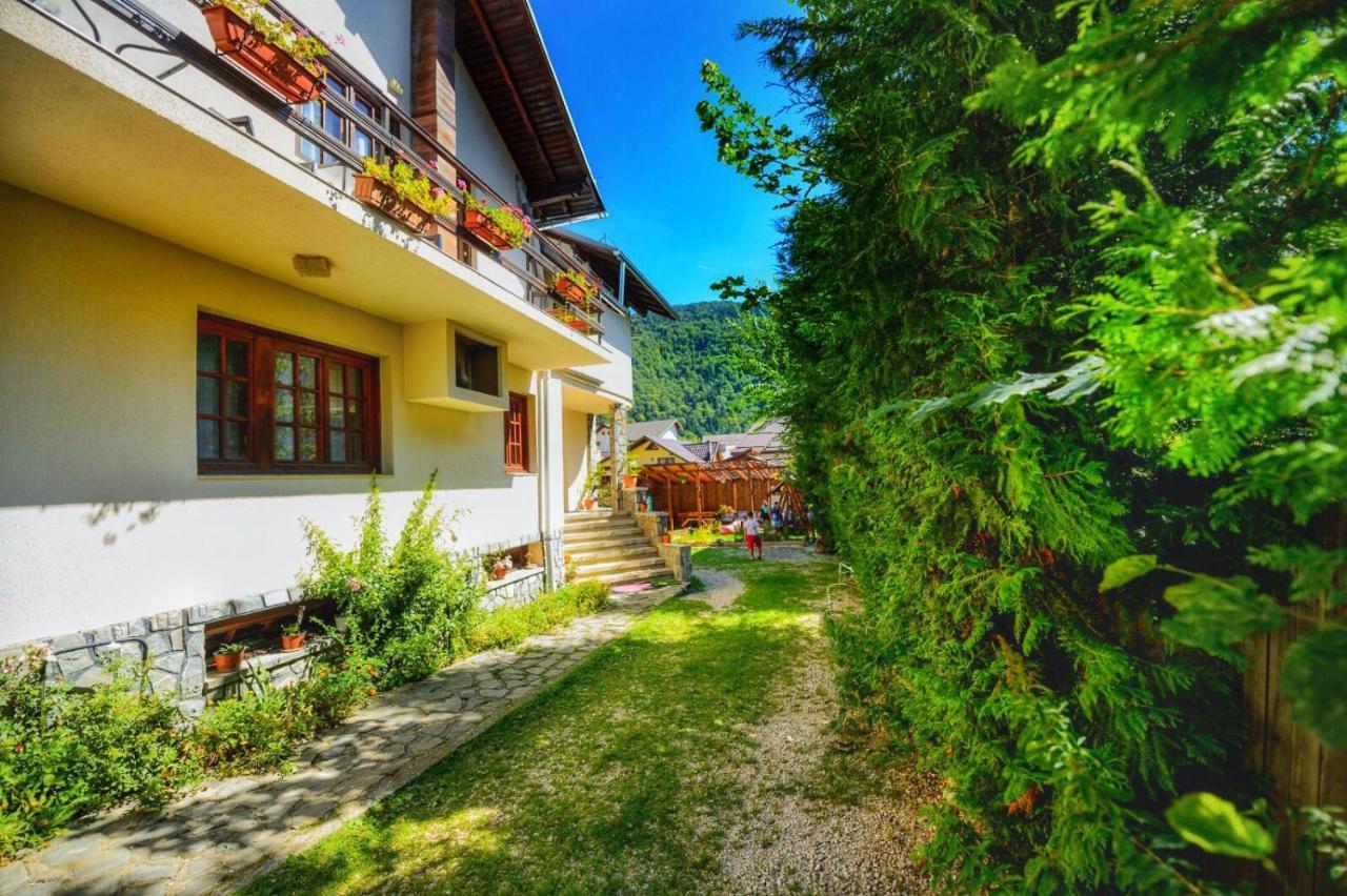 Amandra Chalet Sinaia Exteriér fotografie