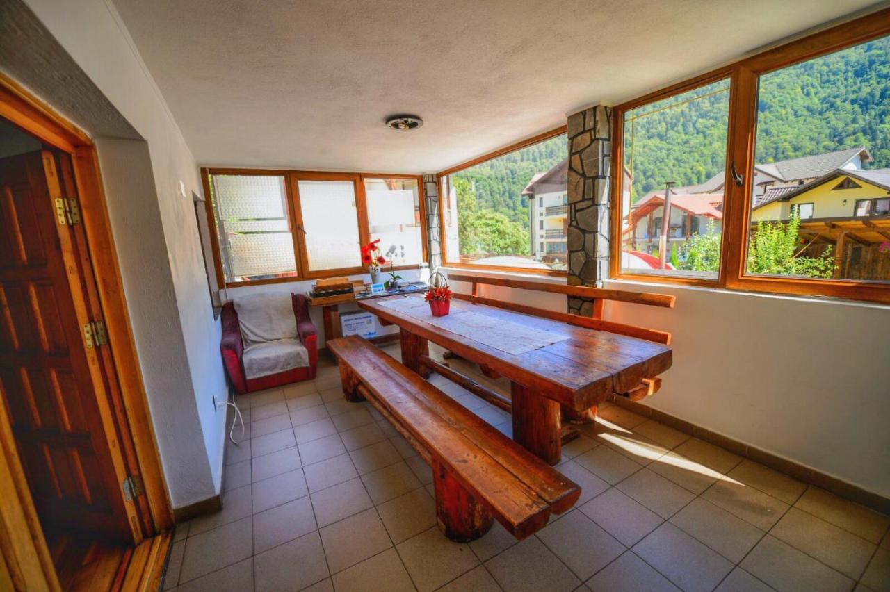 Amandra Chalet Sinaia Exteriér fotografie