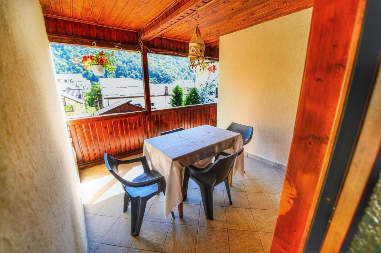 Amandra Chalet Sinaia Exteriér fotografie
