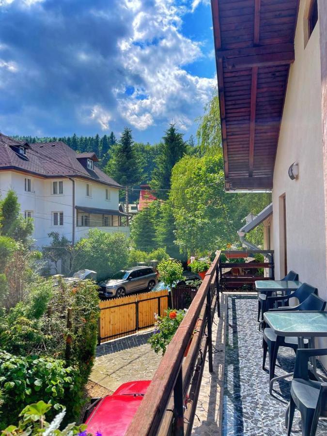 Amandra Chalet Sinaia Exteriér fotografie