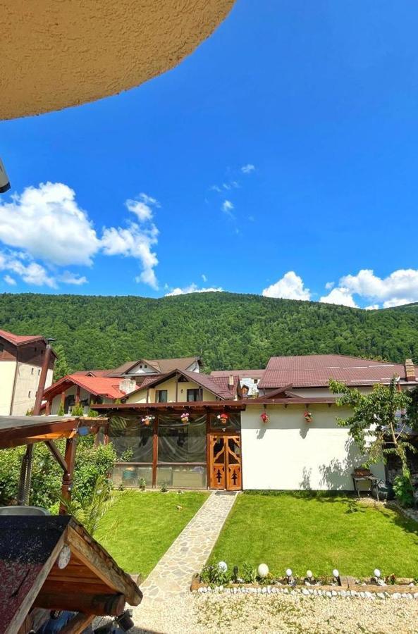 Amandra Chalet Sinaia Exteriér fotografie