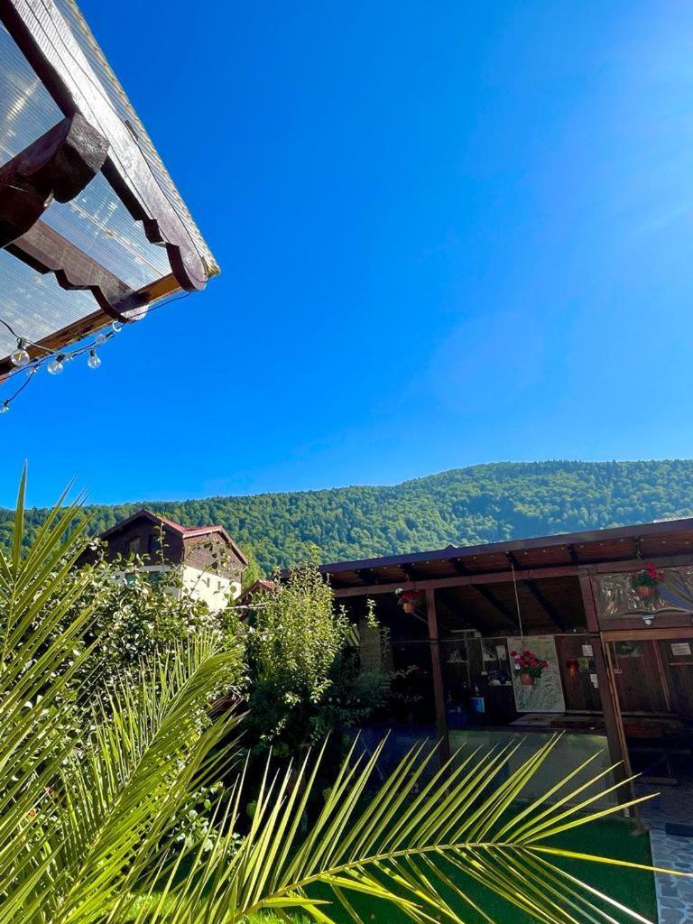 Amandra Chalet Sinaia Exteriér fotografie