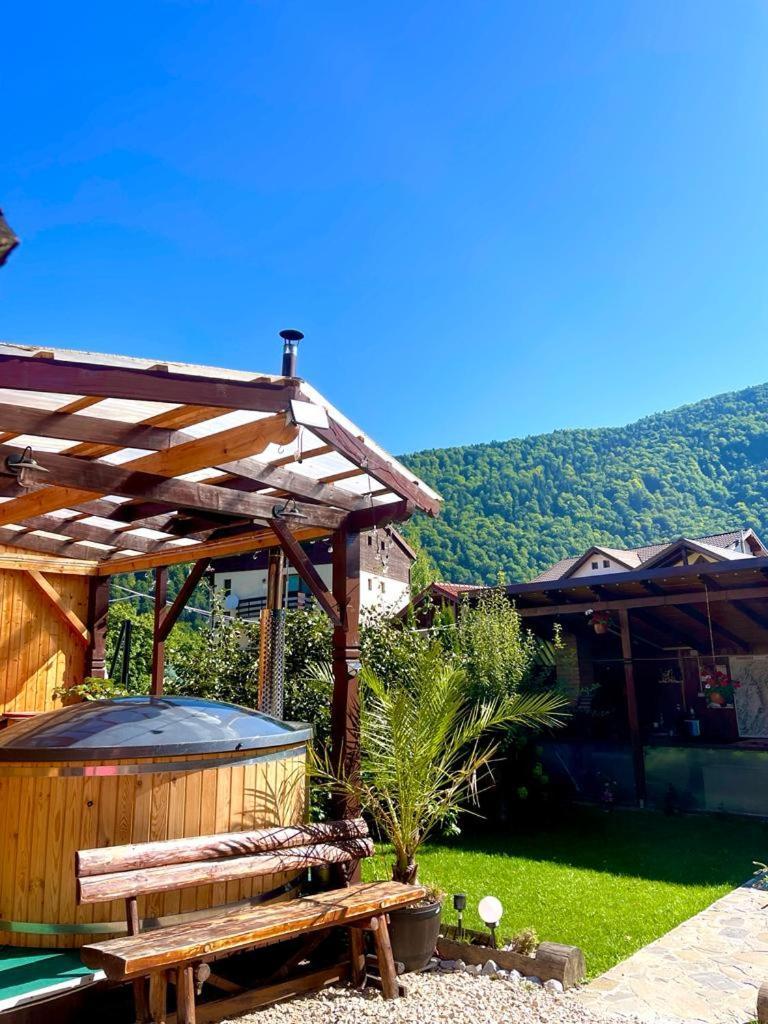 Amandra Chalet Sinaia Exteriér fotografie
