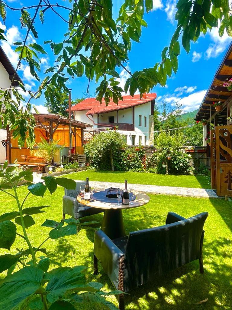 Amandra Chalet Sinaia Exteriér fotografie
